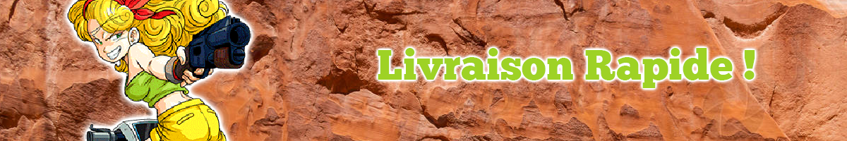 Livraison rapide Livraison rapide